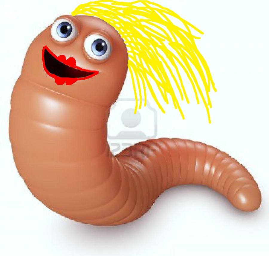 Team &laquo;PIKE&raquo; wallis skal ut og  dominere i Västervik 2014.