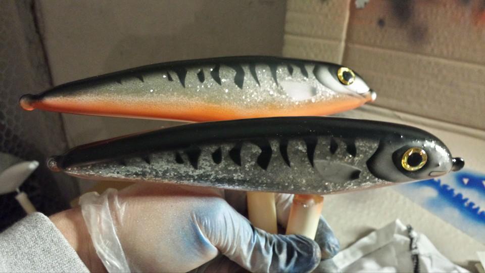 Muskynicke gjør comeback