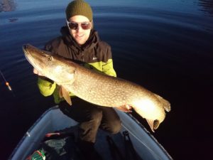 111cm 10.80kg