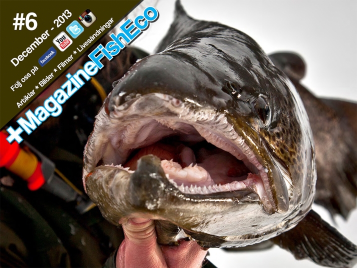 +MagasineFisheco desember