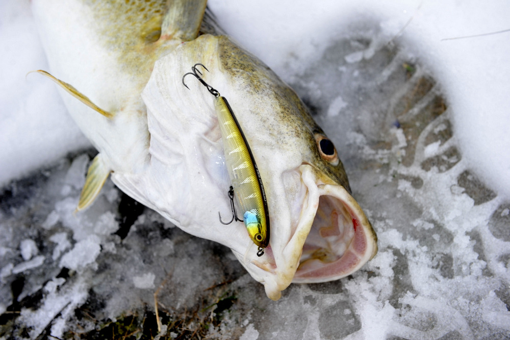 Da kom det SØ på land