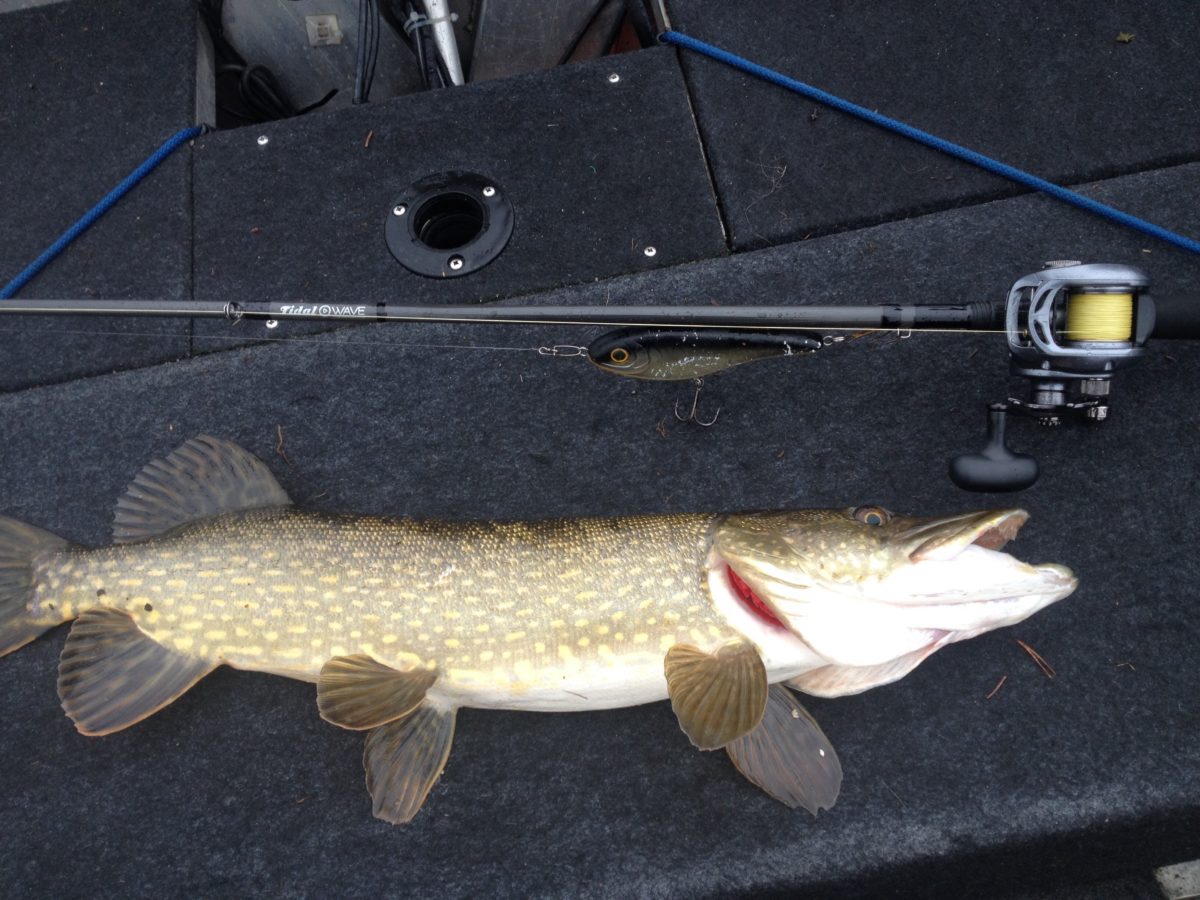 Anders Johansson med en jerk pike