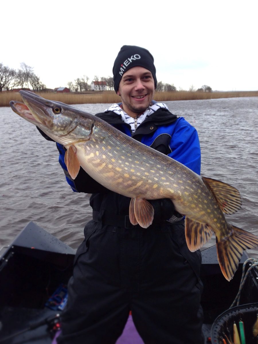 Simon Ljunggren med en deilig 3+ fisk.