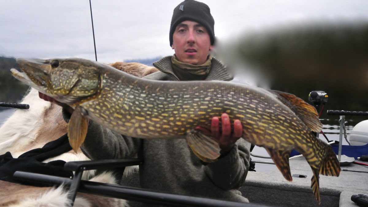 Rogers Høstfiskedagbok dag12