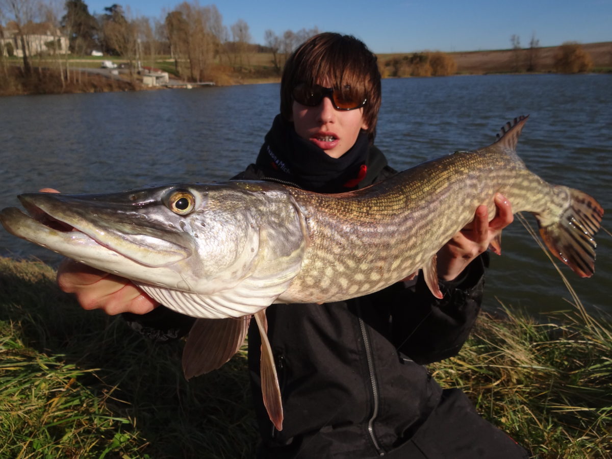 This is Mathieu Cabar from France.