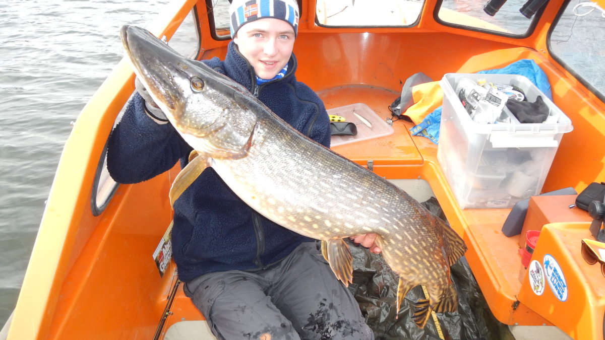 Gutten er råååååå :-) 25 kg gjedde fordelt på 2 fisk