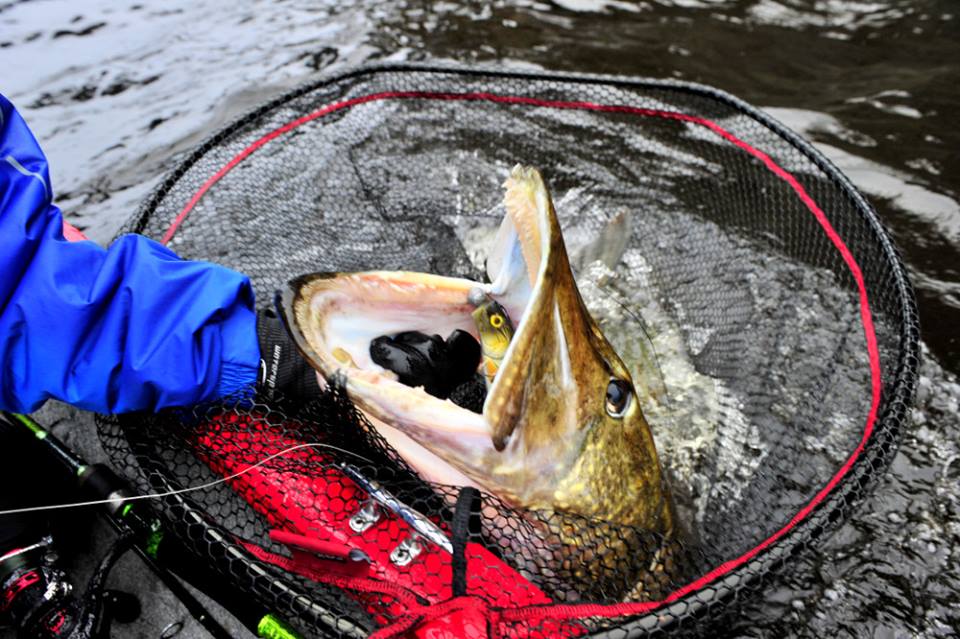 Det er mange som ønsker å annonsere.