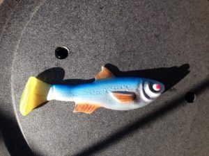 1978856_10151991260444142_763770648_n