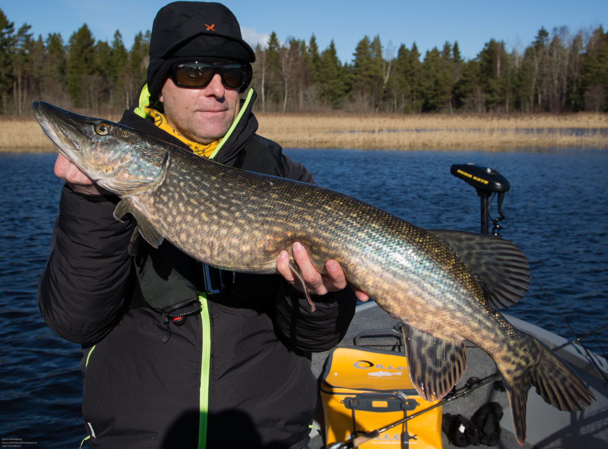 Johan Holmberg med en fin 5 kg’s
