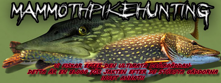 Skinnet jr leverer big time.