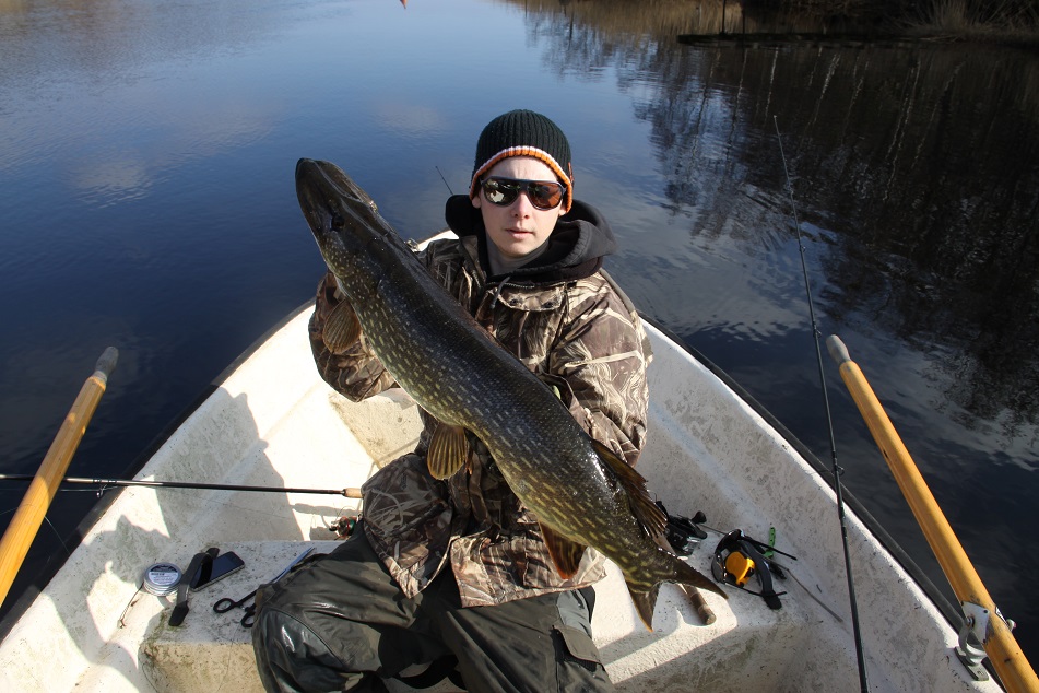 solen skiner och fisken hugger