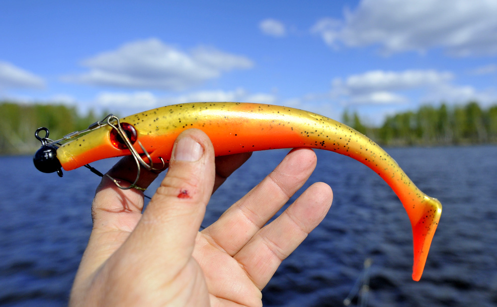 the pig shad