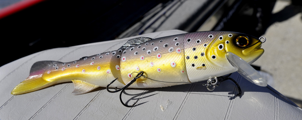 tommy the trout