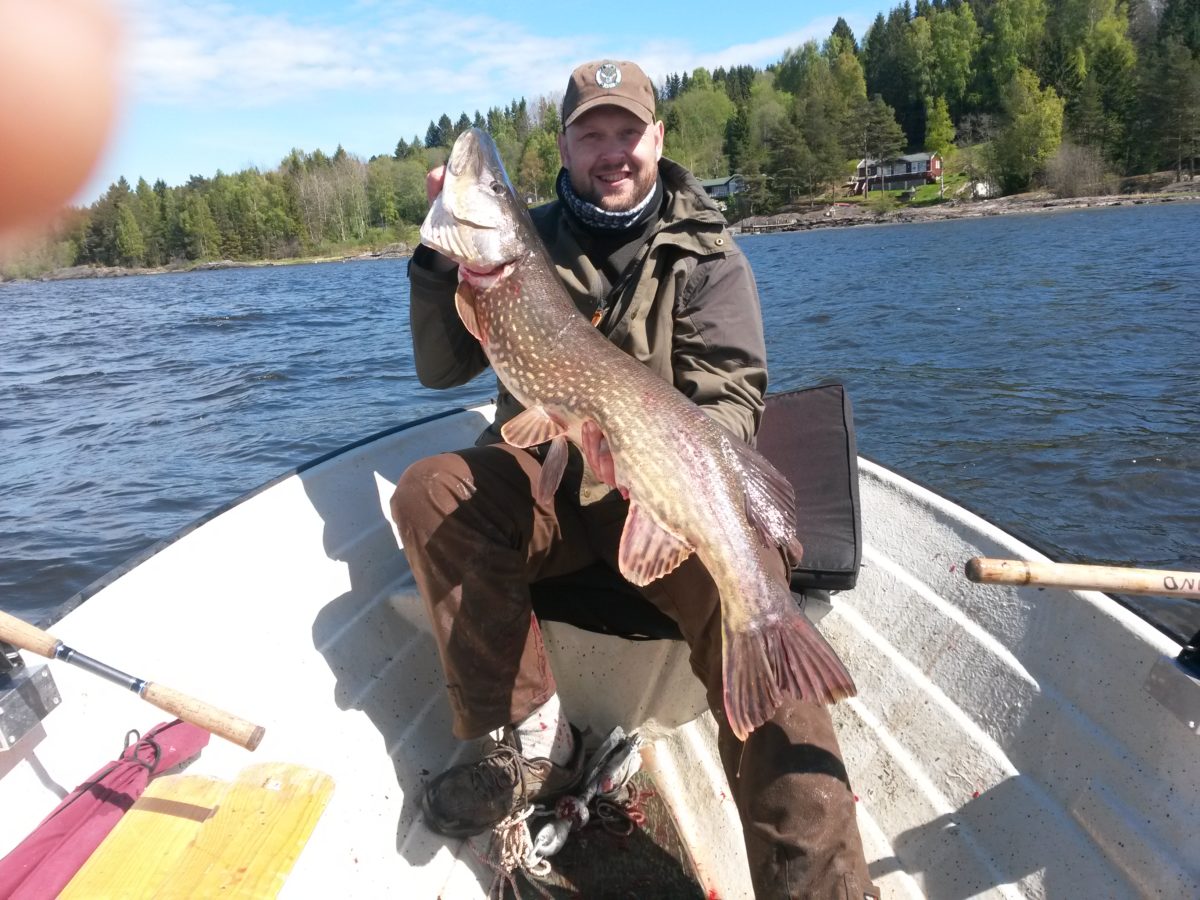 Ny Norsk deltager med ny stor pike