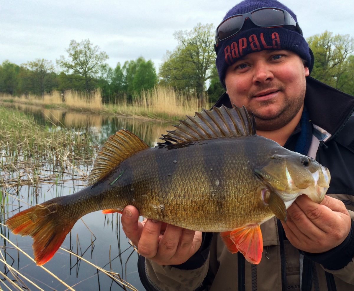 Magnus Diesner med en ny over 1500gr