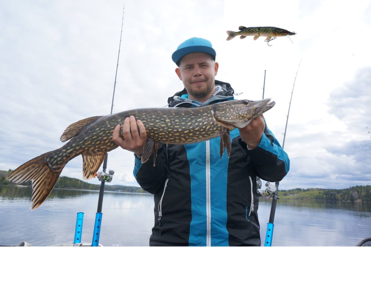 Frank Jørgensen plukker kg.