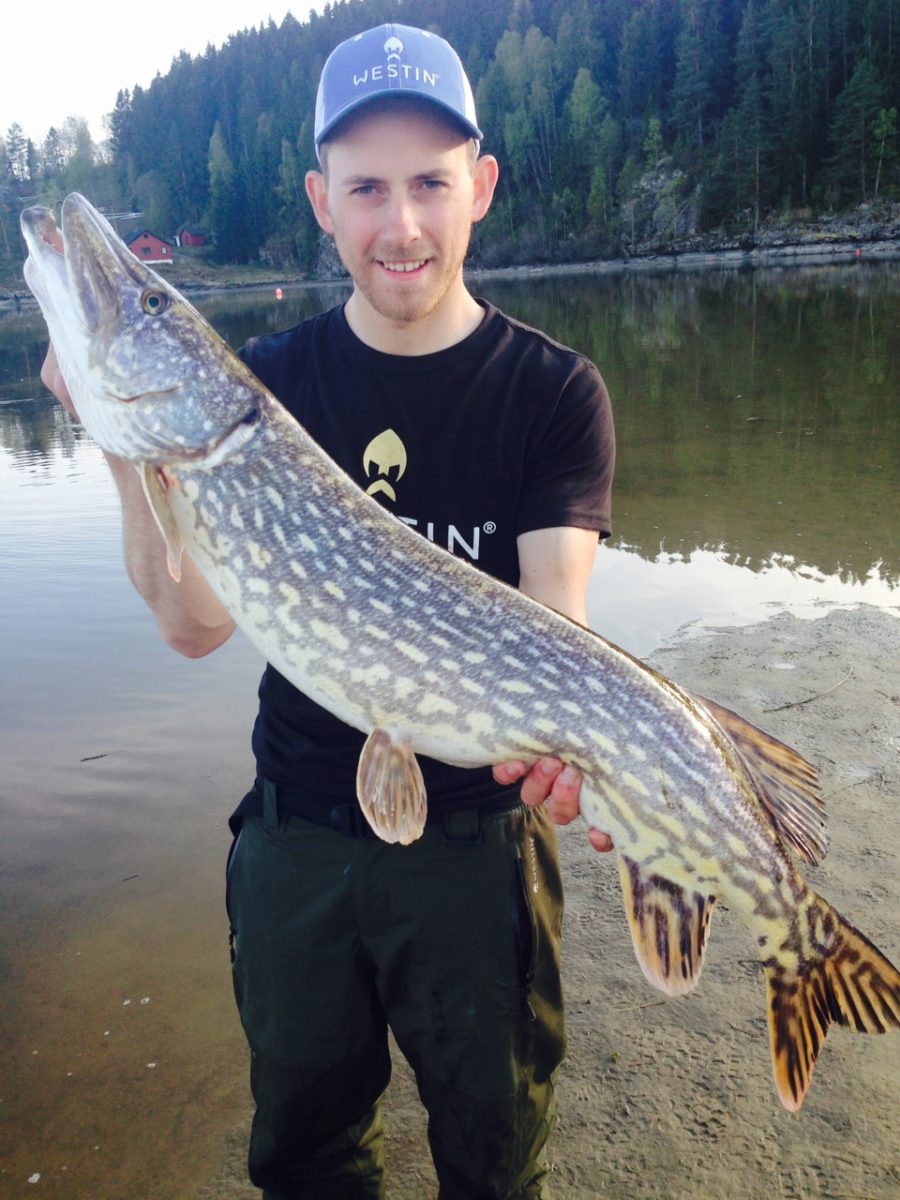 Dag Christer med en fin 7+ fisk.