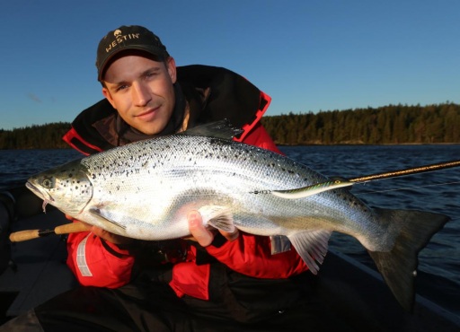 8 snabba till Elias Narvelo