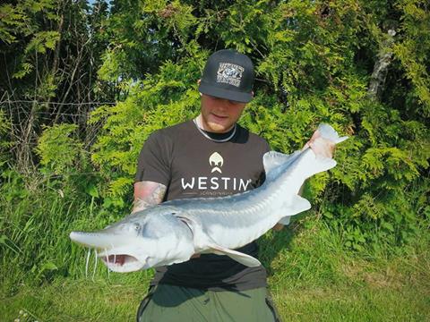 Sjukt kul störfiske här i Danmark