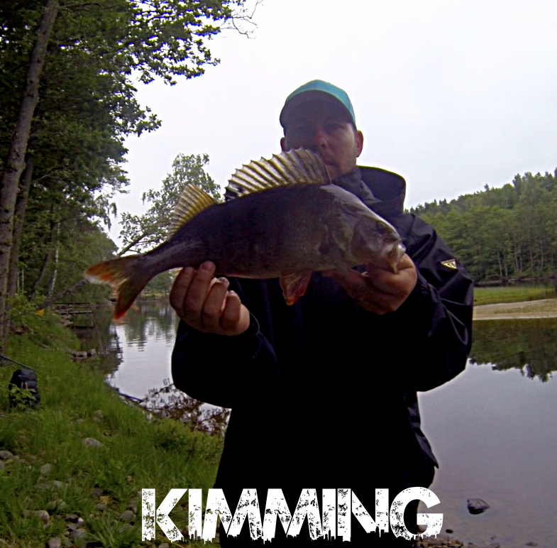 Johan Kimming med en fine abborer :-)