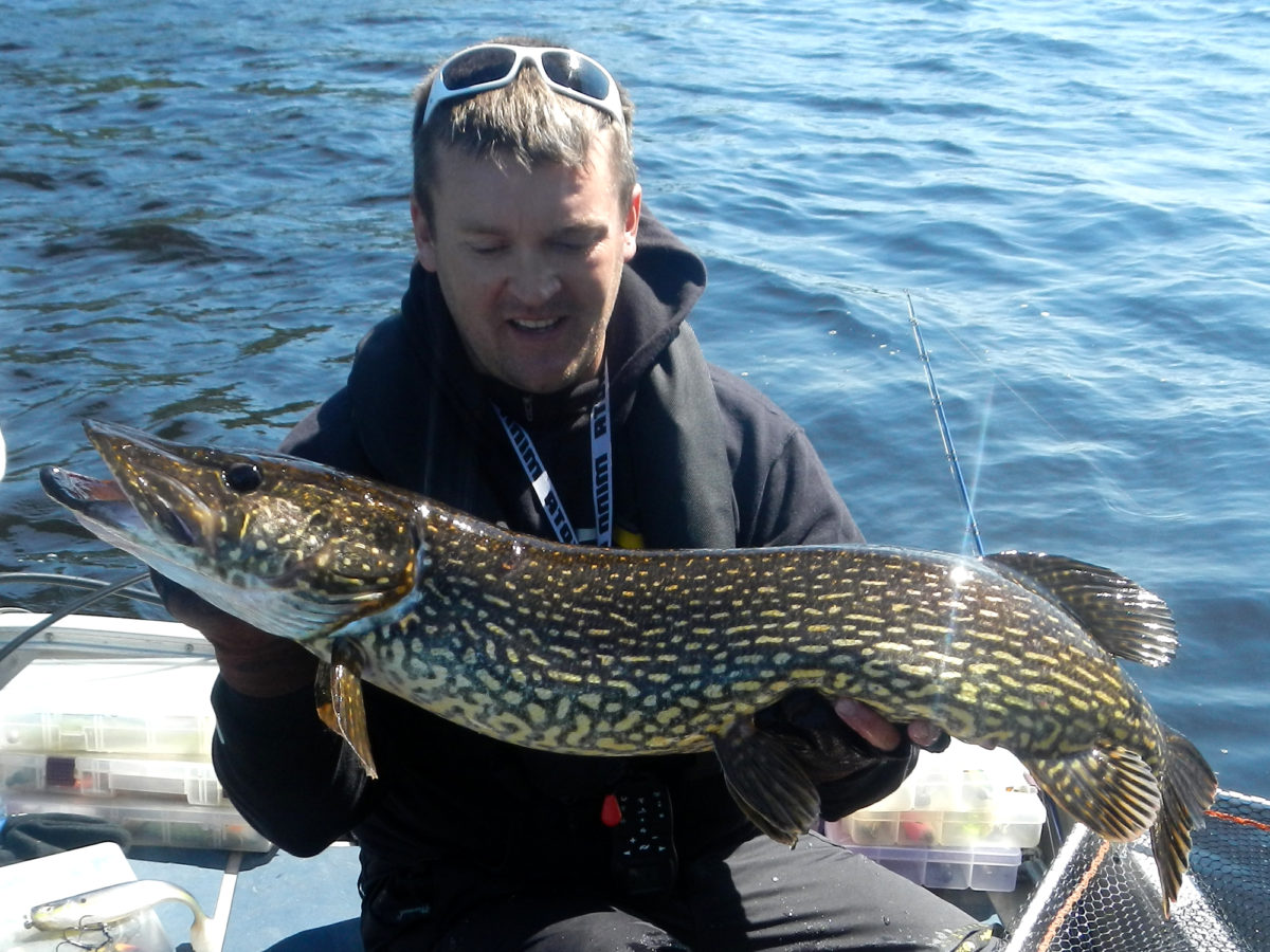 Jonas Norrmèn + dextershadd = mycke fin fisk.