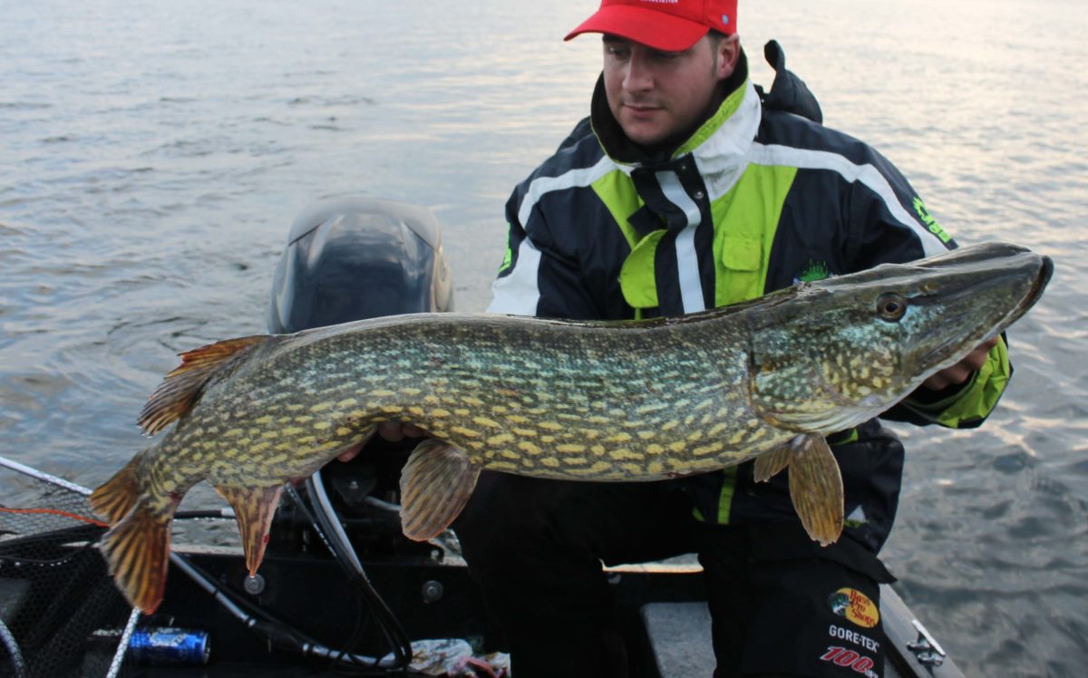 Tobias Fränstam med to flotte gjedder.