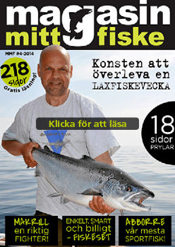 mitt fiske