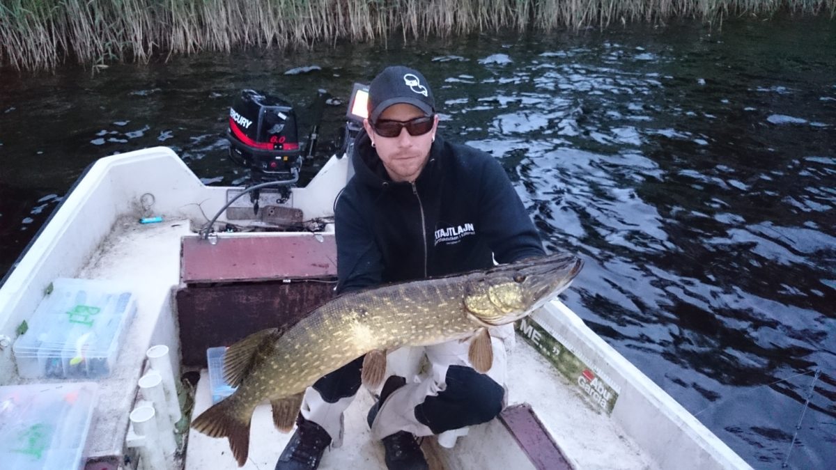 Fredrik Karlsson med en fin 4+ fisk.