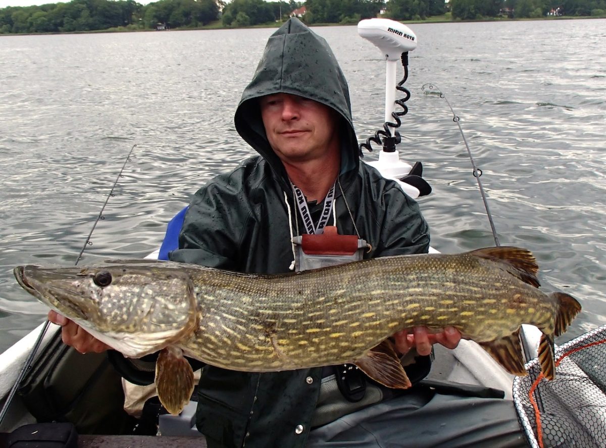 10’ende fisk inn for Klaus.