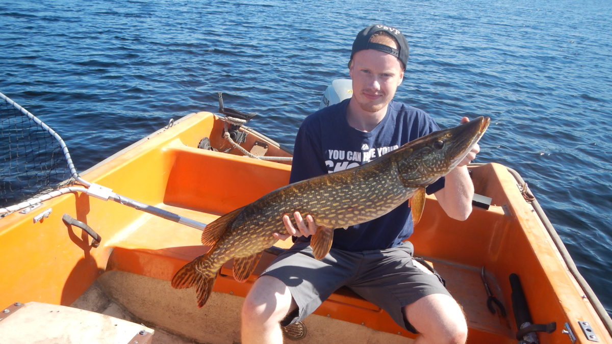 Jon Nordli Andersen inn med gjedde nummer 2.