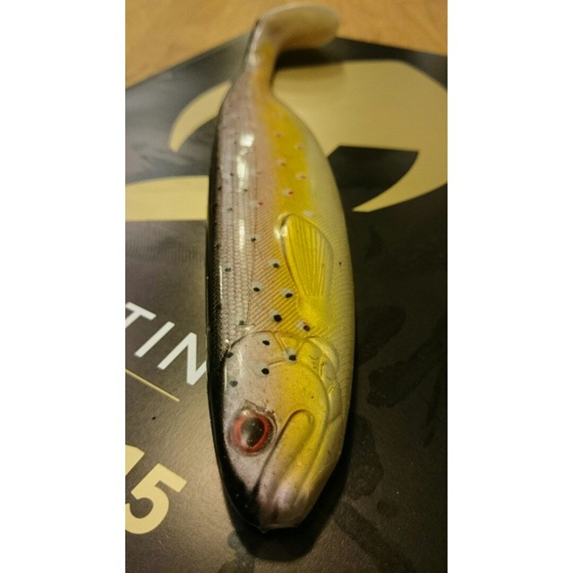 Westin med en ny shadd.