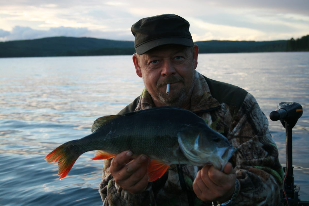 Bjørn med en riktig flott borre.