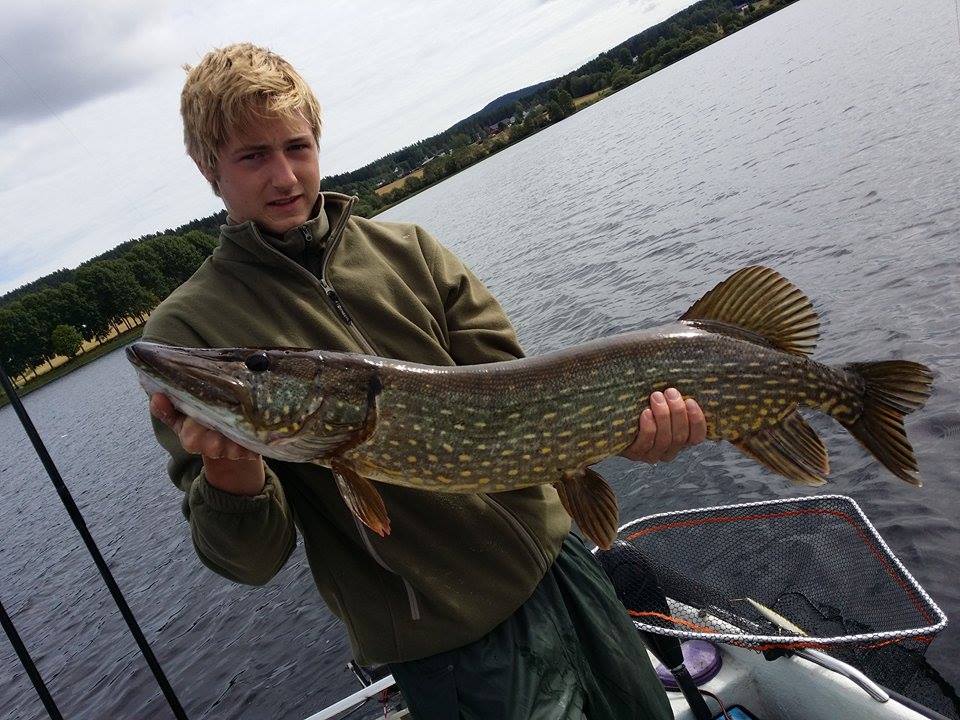 To meget fine 6+ fisker av Kristoffer Enger