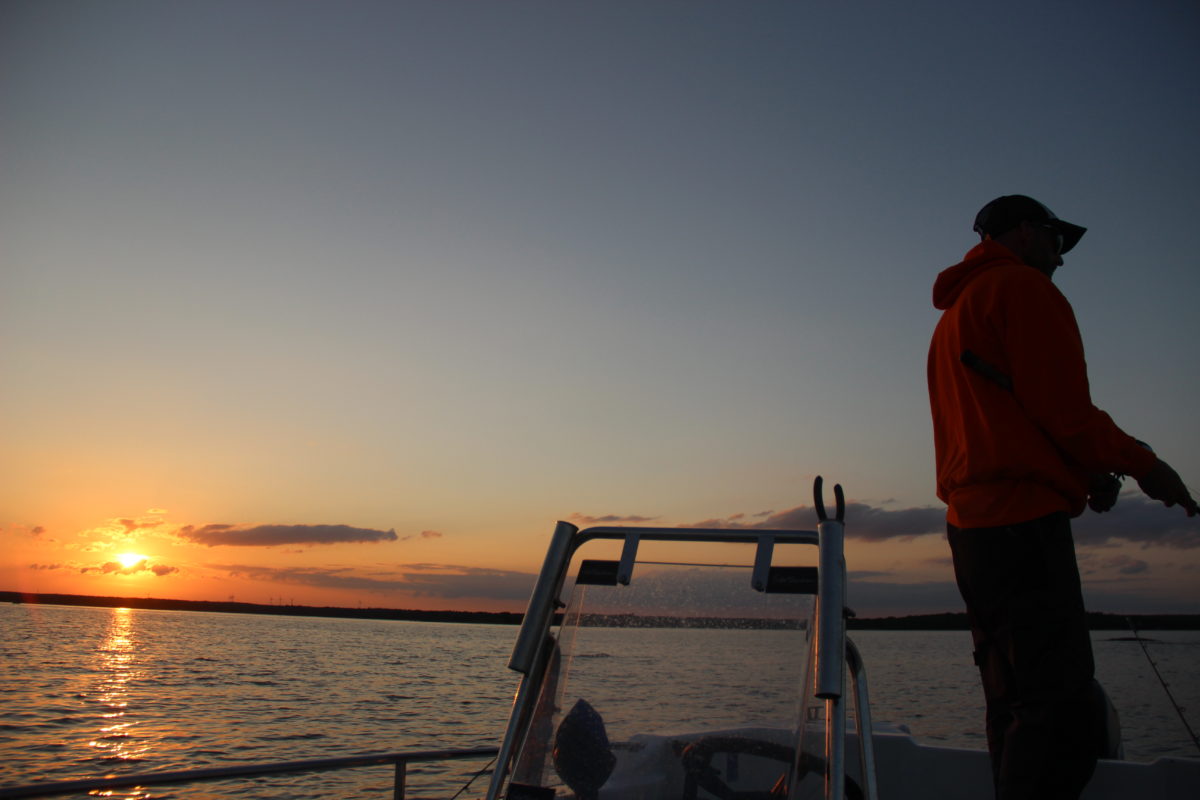 Fiskegalen med en sommer oppsummering.