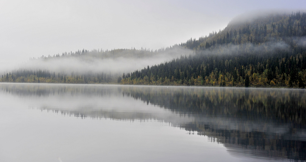 stille, blikk stille
