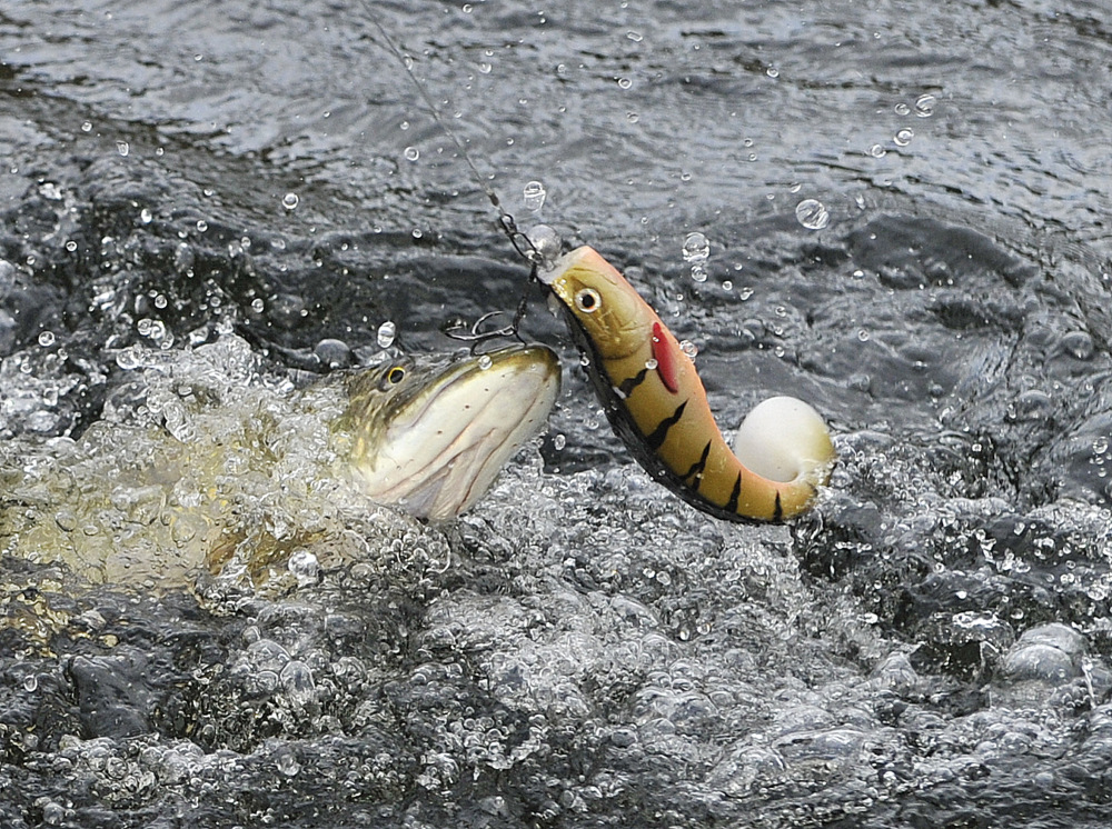 1-_PC14354