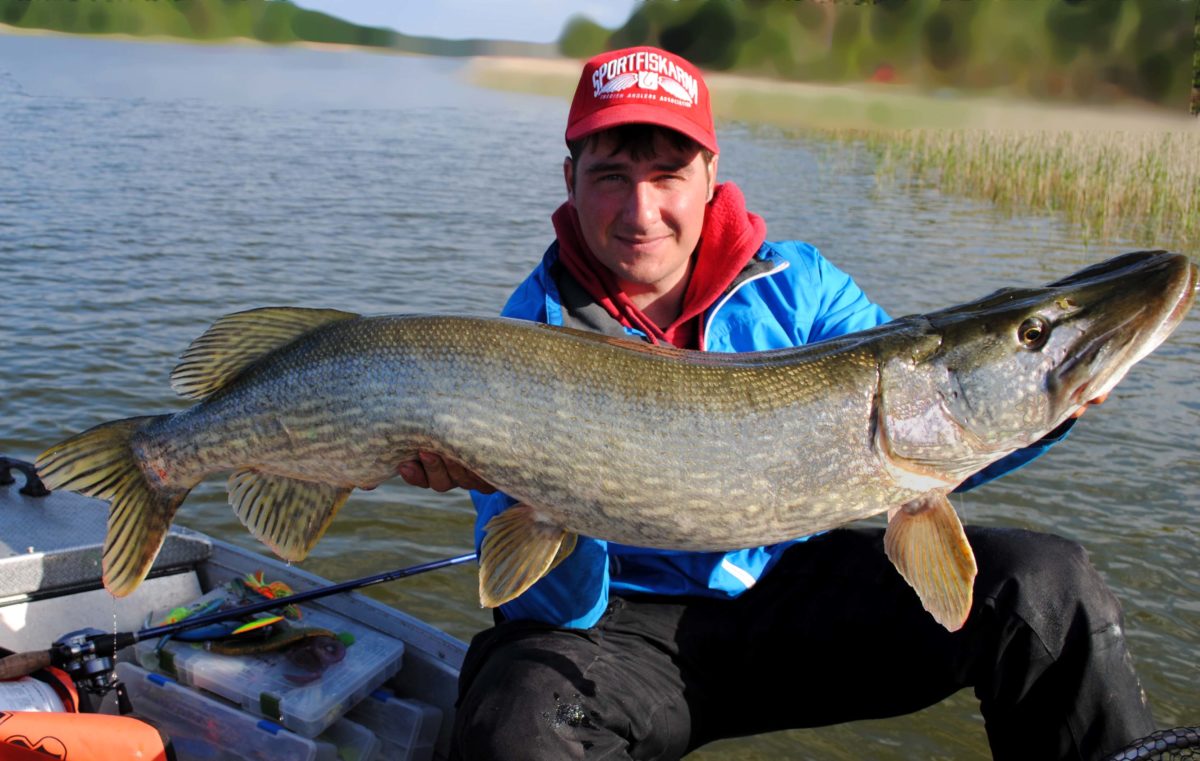 Hvis man mixer egenerfaring med andres. Blir det da bedre ?