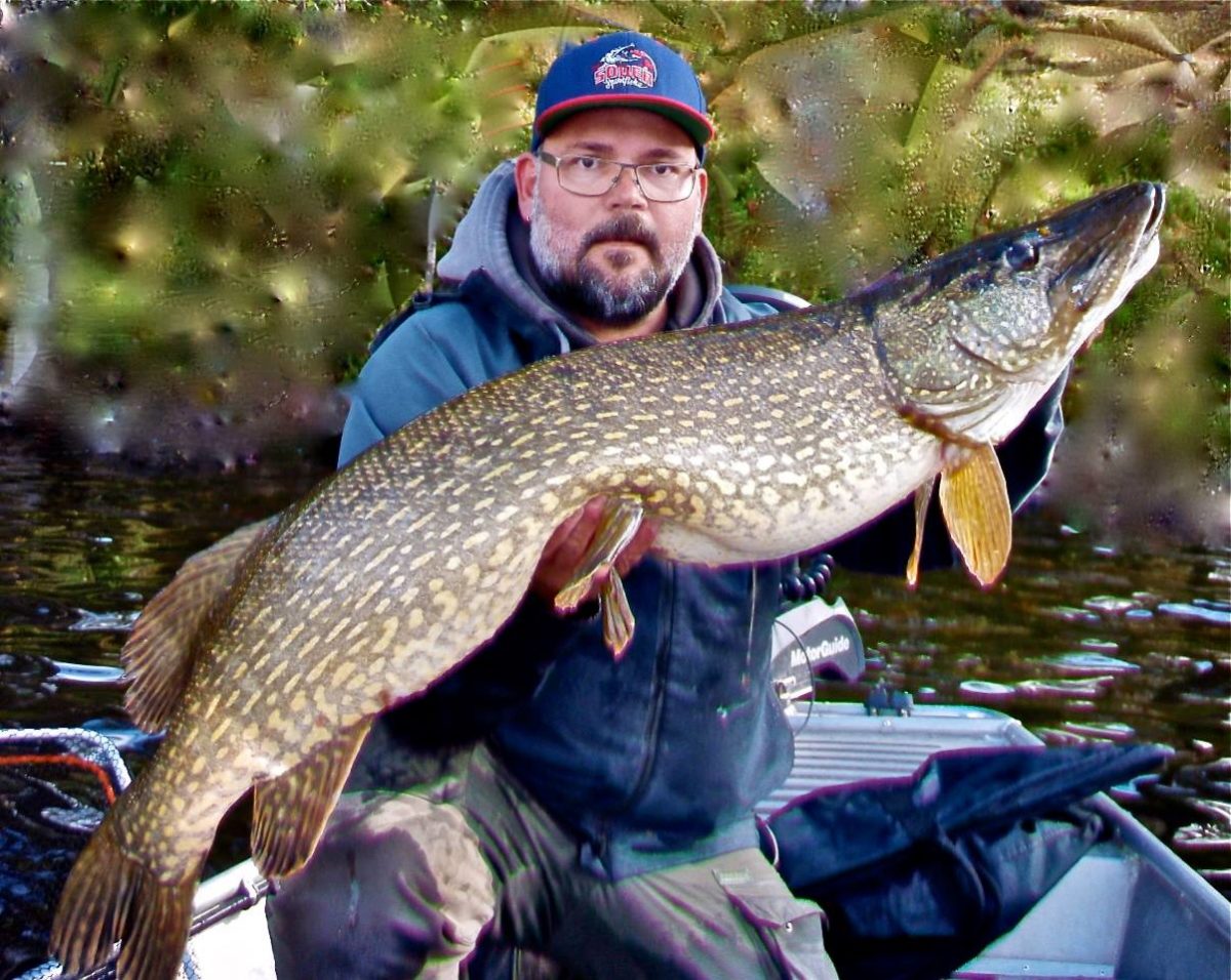Är det bara &laquo;tur&raquo; att fånga stora gäddor eller kan man påverka resultatet?