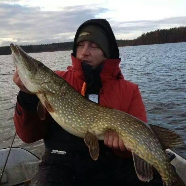 Bullet-Tail laget av Thomas Brobaits Olsen pool demo