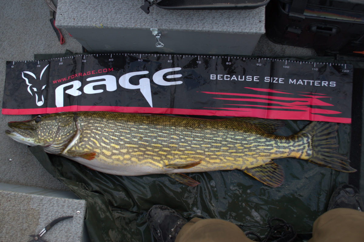 Andreas Johansen med grom pike.
