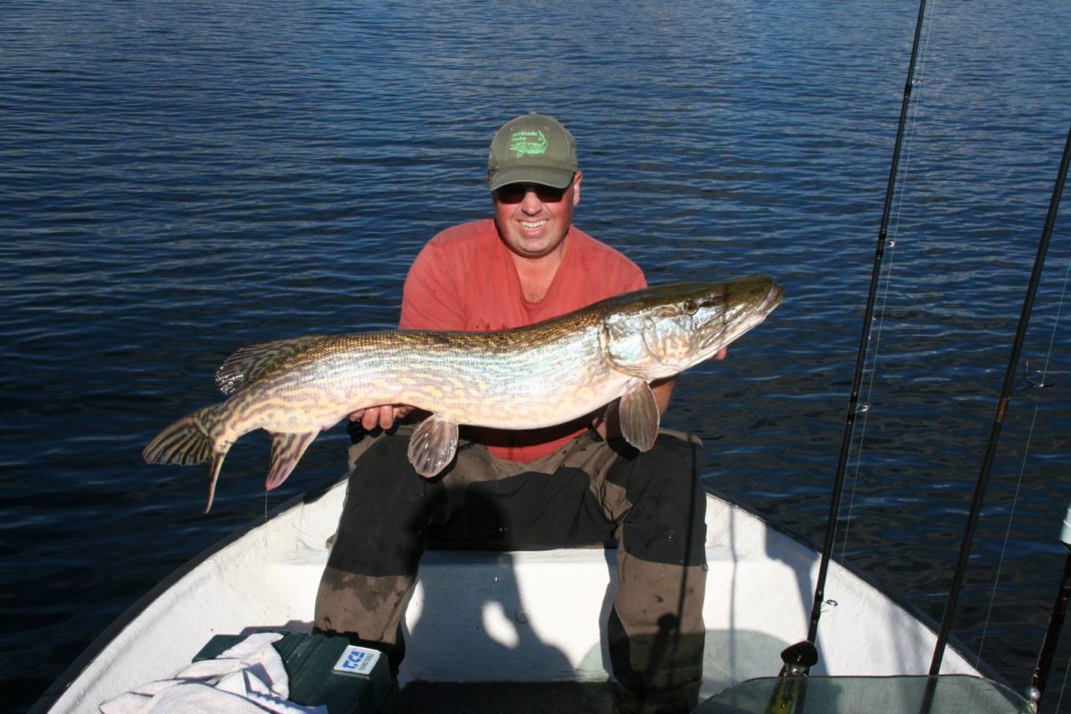6 fisk over 10+, 3 av de  over 12+.