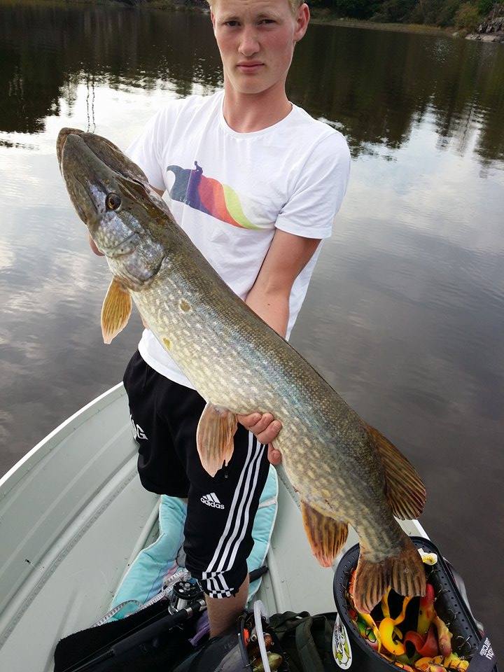 Nils Gedde med to nye flotte gjedder.