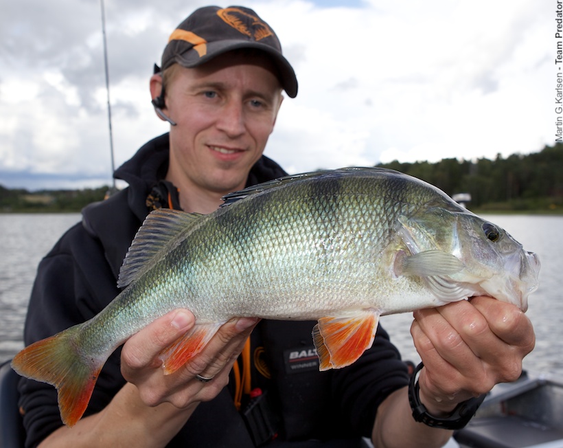 Martin Karlsen med en ny fin høstborre.