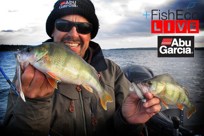 Her må de vel få fisk LIVE.  Höstabborre med Håkan Fransson Abu