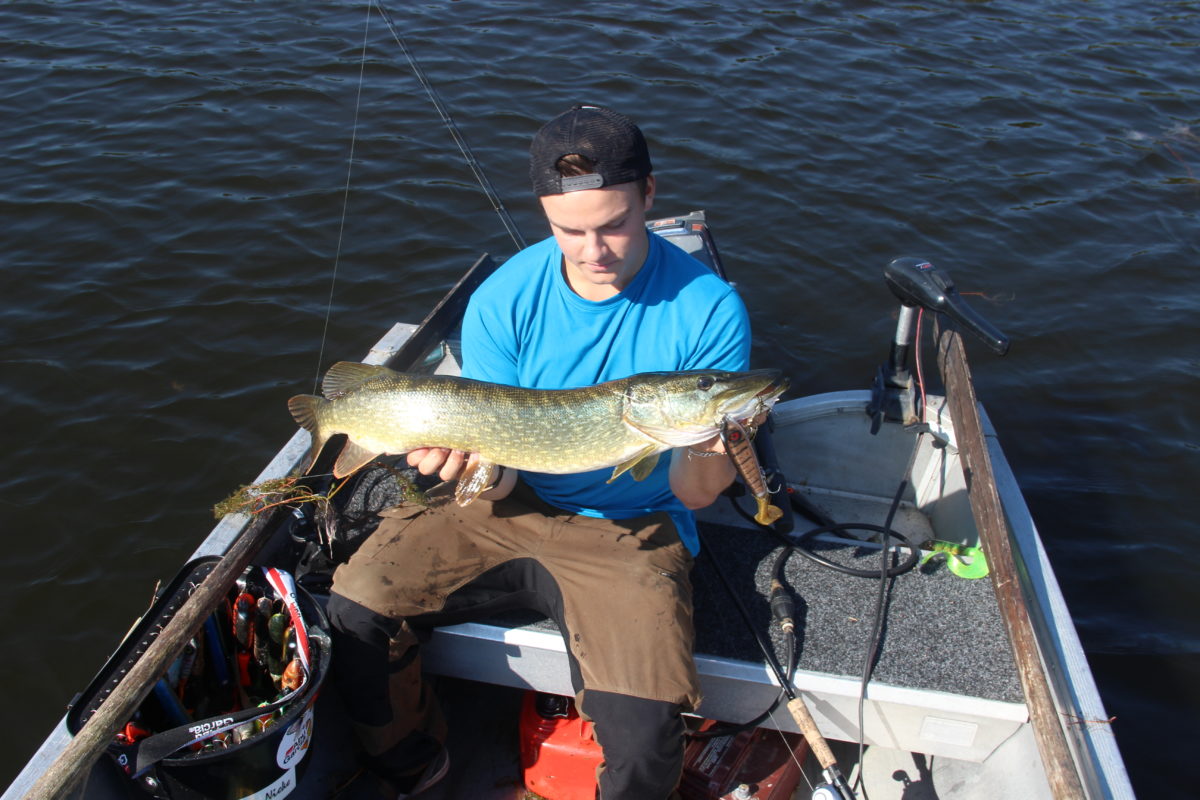 SOL, INGA MOLN MEN FISK I BÅTEN!