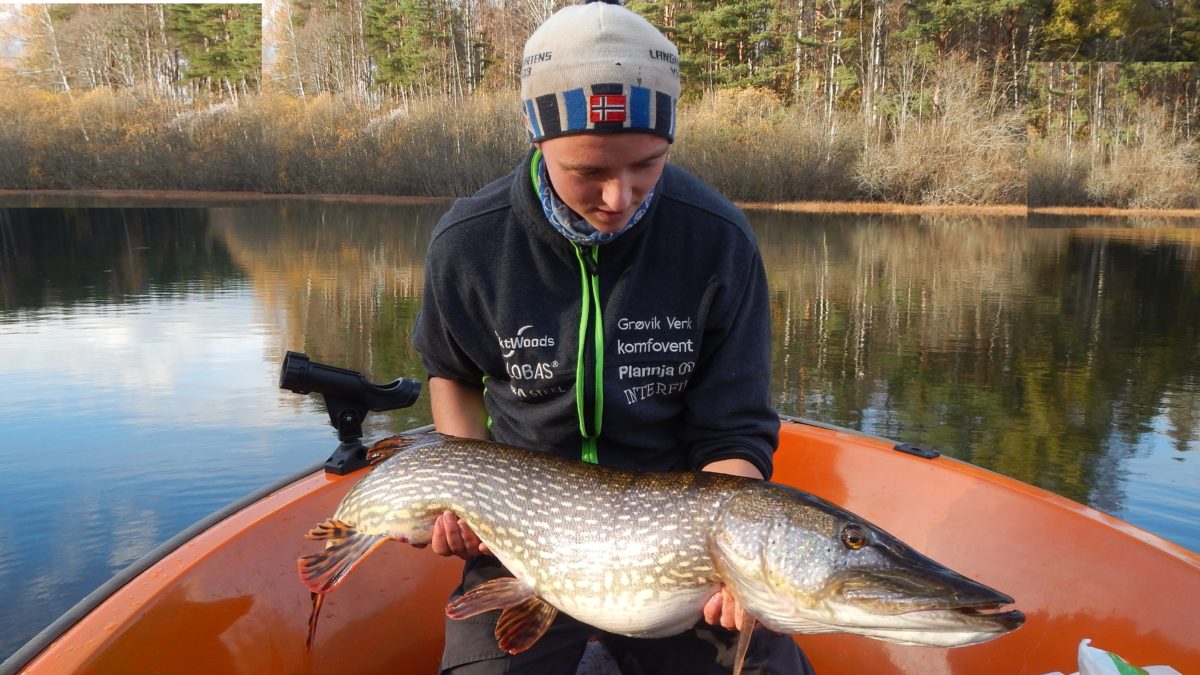 Ole Petter Hafnor med sin 4. over 10 kg i år.
