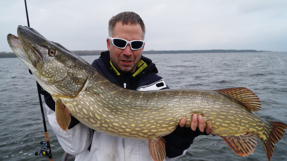 Inne i mellom er det grønnere på andre siden. 13+ fisk