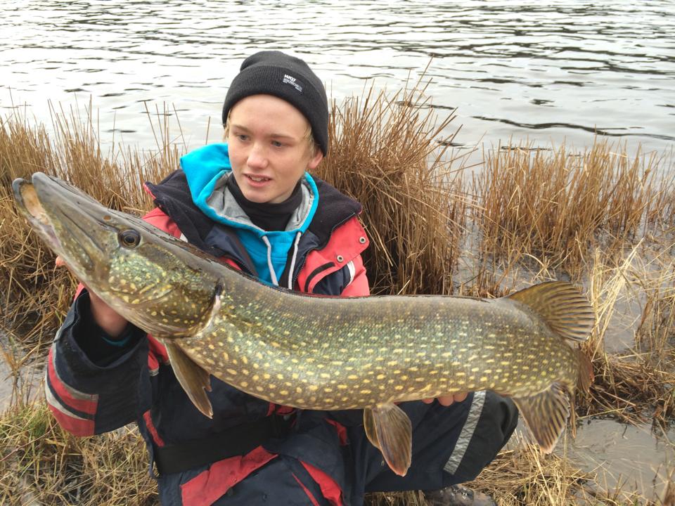 Simon Ingvald med en strøken 7kg’s fisk.