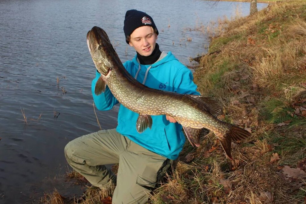 Simon Ingvald med sin 11. fisk inn.