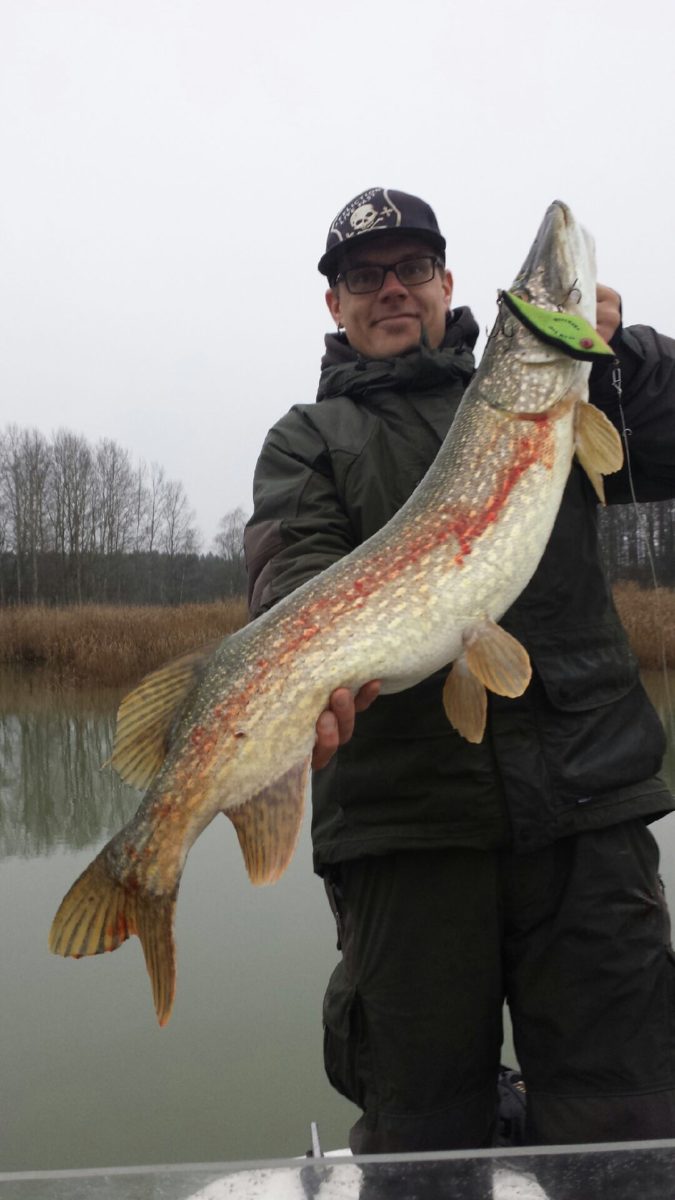 Roland Svensson med en jerket 7+ fisk.